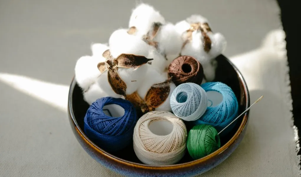 Cotton Find out about the types, characteristics and uses of this